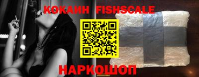 индика Гусев