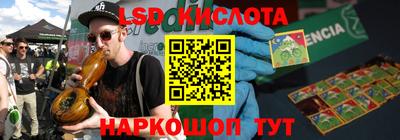 индика Гусев