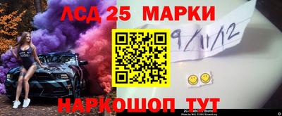 индика Гусев