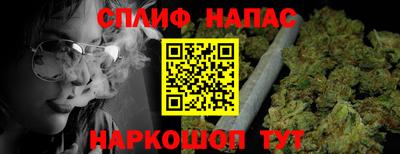 индика Гусев