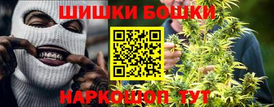 индика Гусев