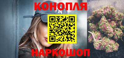 индика Гусев