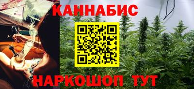 индика Гусев