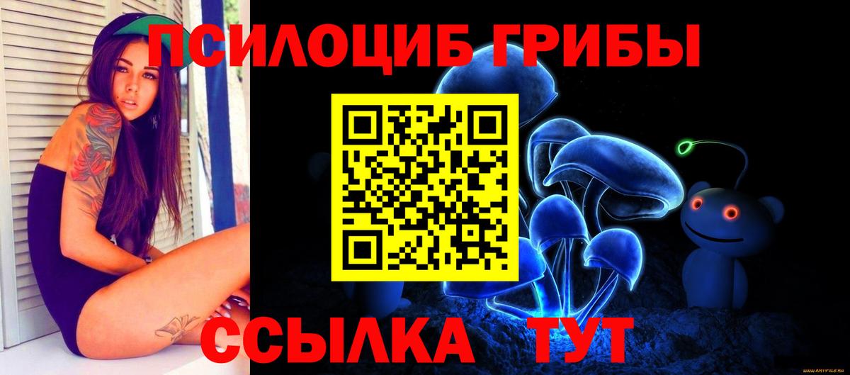 Псилоцибиновые грибы Magic Shrooms  Вход с VPN  Нальчик  где купить наркотик  Галлюциногенные грибы Psilocybine cubensis 